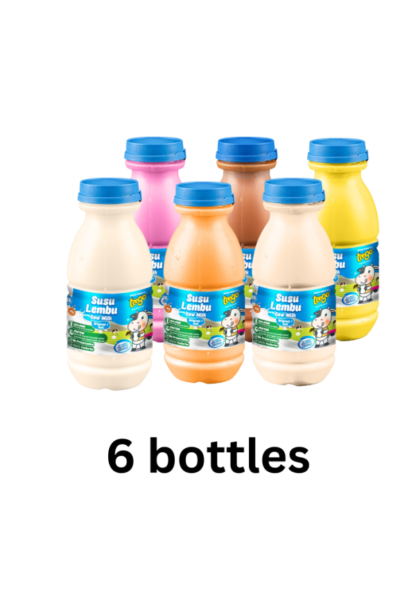 FLAVOURED COW MILK (6 BOTTLES)